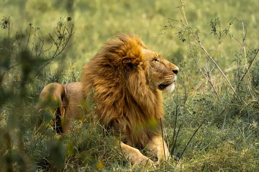 Kenya