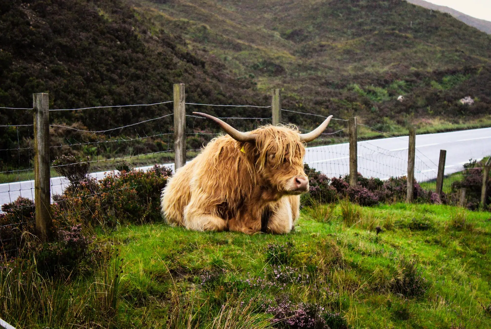 Les Highlands — Royaume-Uni